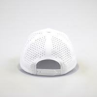Chapeaux de golf personnalisés à 6 panneaux avec logo brodé Polyester imperméable perforé au laser Style sportif Motif de fruits Tissu éponge en jersey