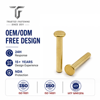 Rivets plats solides OEM TianFang pour supports d'étiquettes d'entrepôt, en titane, finition polie, directement de l'usine avec échantillonnage rapide