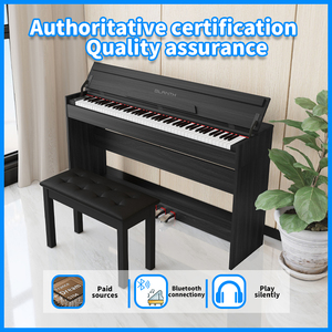 Đàn Piano Điện BLANTH 88 Phím, Đàn Piano Điện Kỹ Thuật Số, Đàn Piano Điện Trung Quốc, Nhạc Cụ Điện - Product Image 2