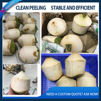 Professionele kokosnootschiller en -schilremover machine, rechtstreeks van de fabriek, schilsysteem, voordelig voor boerderijen en exportmarkten