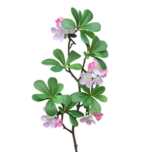 Yihua Floral Art - Planta de Flores Artificiales de Seda Pittosporum Tobira para Decoración del Hogar, Estilo Moderno y Simple, Blanco, Rosa, Morado, HTH001 - Product Image 4