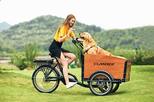 Vélo cargo électrique à 3 roues, moteur central 36V 250W, style Bakfiets familial, cadre en aluminium, <span class=keywords><strong>Nexus</strong></span> <span class=keywords><strong>8</strong></span> vitesses, freins à disque hydrauliques - Product Image 4