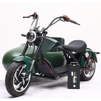 High Performance 10" Electric Sidecar Trike, Powerful 3 Wheeler Electric Motorcycle with Wide Tires for Stable Riding