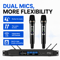 Système de microphone sans fil portable à double canal TK2000S-2, microphone sans fil UHF True Diversity pour spectacle sur scène