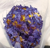 Lotus bleu égyptien biologique Nymphaea Caerulea |   Herbe aphrodisiaque pour fumer pré-roulé |   Thé aux fleurs pour le bien-être holistique