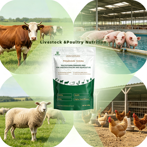 Prémélange polyphénolique multivitaminé lyophilisé en poudre de laitue pour l'alimentation des poissons, des <span class=keywords><strong>chevaux</strong></span> et des chiens - Qualité alimentaire aquatique pour la prise de poids et la croissance - Product Image 3