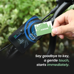 Novedad 2025 OEM Moto Eléctrica de Cross 52V 60V Bicicleta Eléctrica Fat Bike 750W 1000W Llantas Anchas Asiento Doble para Adultos Bicicleta Eléctrica de Montaña - Product Image 3