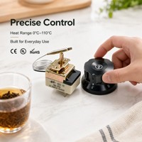 Thermostat de contrôle de température en plastique pour chauffe-eau à gaz, capillaire, 3 broches, WHD-350B, 50-350 degrés, usage commercial pour four, blanc