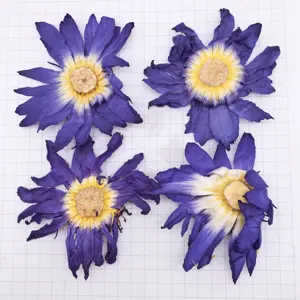 HO4009 Lan lian hua wholesale dried open blue lotus flowers for sale