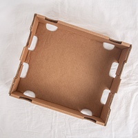 Boîte d'emballage en carton ondulé spécial pour cerises de qualité supérieure, transport frais des fruits, boîte d'emballage en papier respirant spécial