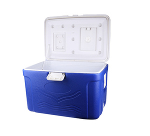 Hot selling camping picnic electric portable mini plastic ice cream warmer cooler box