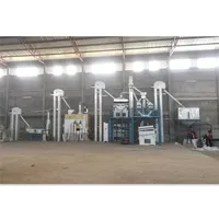 Usine de nettoyage et de tri des grains de café vert Usine de nettoyage complète du traitement des grains de café fabriquée en Chine