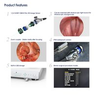 Système d'imagerie d'arthroscopie portable électrique Full HD YKD-9101 IKEDA 1080P, caméra endoscopique laparoscopique tout-en-un en métal et plastique