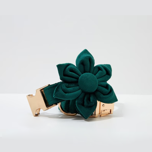 개인 라벨 개 목걸이 ID 태그 사용자 정의 럭셔리 애완 동물 목걸이 가죽 끈 Correas Para Perros 애완 동물 액세서리 - Product Image 2