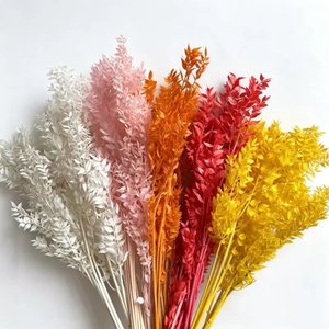 <span class=keywords><strong>Hojas</strong></span> de Ruscus Preservadas y Blanqueadas, Material para Decoración del Hogar, Manualidades, Arreglos Florales para Bodas/Fiestas - Product Image 6