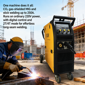 เครื่องเชื่อม RILON <span class=keywords><strong>MIG</strong></span> 250GS 220V ระบบเฟสเดียว <span class=keywords><strong>MIG</strong></span> MAG MMA พร้อมหน้าจอดิจิตอล - Product Image 6