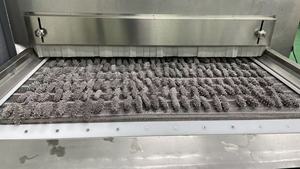500g <span class=keywords><strong>Concombre</strong></span> de mer frais et séché naturel, riche en protéines, fruits de mer de haute qualité pour les acheteurs mondiaux, exportations internationales - Product Image 3