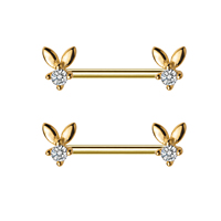 Chaîne en or heartth en acier inoxydable pour femme, Piercing de mamelon en acier inoxydable pour homme, bijoux de corps