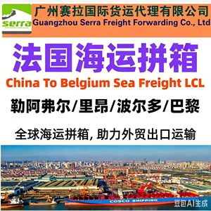 Ligne dédiée France, fret maritime porte-à-porte, Guangzhou vers Gênes, DDP, service complet, livraison FBA incluse - Product Image 3