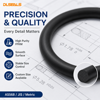 Joints toriques FFKM standard et personnalisés : Scellage haute performance de qualité semi-conductrice pour outils sous vide CVD/ALD et films minces