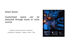 Pannello di controllo intelligente per la casa di TYSH Tuya pannello di controllo intelligente per la fotocamera vocale integrata da 10.1 pollici con alimentazione USB e <span class=keywords><strong>Display</strong></span> pannello multifunzionale - Product Image 3