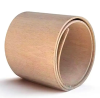 Contreplaqué flexible courbé 1220x2440mm 8/9/12mm pour meubles modernes et artisanat, qualité supérieure