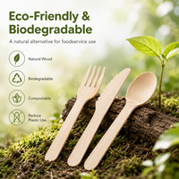 Ensemble de couverts jetables en bois de bouleau naturel, couteau, fourchette, cuillère, 100% biodégradable, certifié FDA LFGB, prix de gros