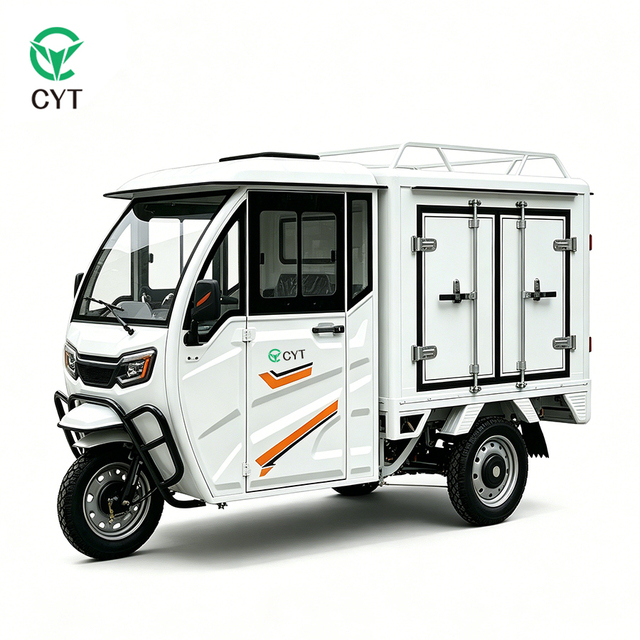 Factory Direct 3 Wheel Electric Cargo Tricycle with Enclosed Cabin & Insulated Box, Customizable for Cold Logistics