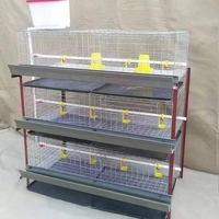 Conception d'élevage avicole pour cages d'élevage de poussins de chair d'un jour