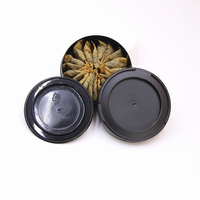 Boîtes en plastique vides pour snus en PP en gros, emballages pour sachets de nicotine, bouteilles en plastique pour le tabac