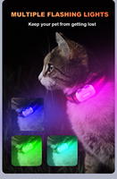 Traceur GPS pour animaux de compagnie G67 4G BeiDou AGPS GLONASS IP67 Haute précision Faible consommation Longue durée de vie de la batterie Historique des trajets Application gratuite Abonnement