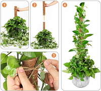 Ensemble de poteaux de bâton bon marché en gros 60cm de liens Moss Coco Pole pour jardin