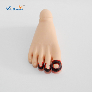 Conjunto Completo de Módulos de Entrenamiento para el Manejo de Traumas: Quemaduras, Laceraciones, Heridas de Bala para Educación Médica de Emergencia, Certificaciones CE, ISO, ROHS, CNAS - Product Image 6