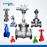 Vanne à opercule Carter en fonte gris et fonte ductile, à bride RF, à souder bout à bout, à engrenage à vis sans fin, à commande pneumatique, électrique et à distance, ANSI/API/JIS/DIN