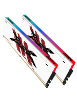PUSKILL Desktop DDR4 8GB 16GB 32GB RAM Memory RGB ECC in Stock