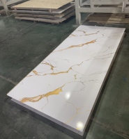 Decoración de Pared Interior Moderna, Lámina de PVC de Alto Brillo, Impermeable, Resistente al Fuego y a las Manchas, con Protección UV, para Uso Doméstico y en Gimnasios