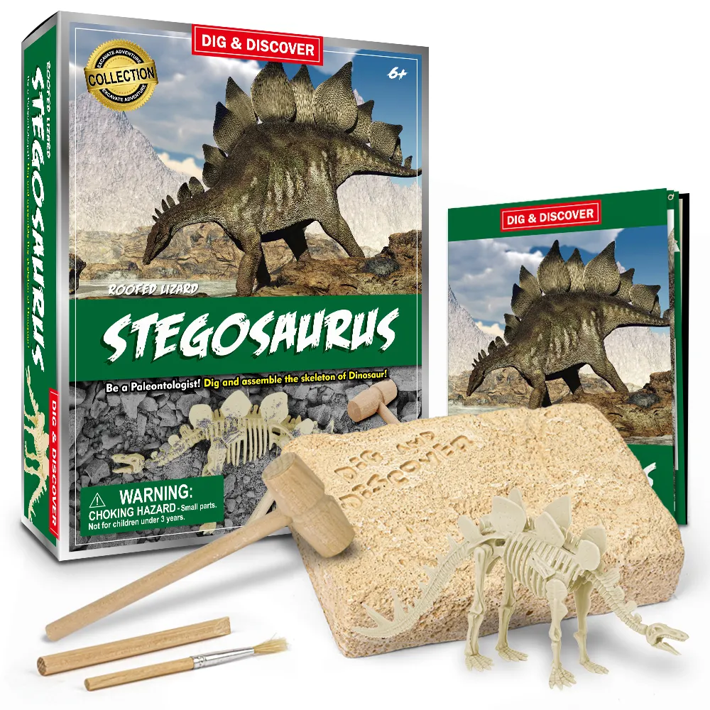 2021 Oem Logo Wetenschap Craft Kit Speelgoed Dino Ontdekken Archeologie Speelgoed Graven Dinosaurus Uit Stegosaurus Fossiele Opgraving Kits Voor Kinderen