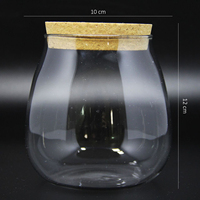 Vase Terrarium Moderne de Luxe en Verre avec Couvercle en Dôme et Bouchon en Liège pour Plantes Grasses et Aménagements Paysagers – Vente Chaude
