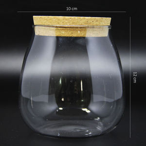 Vendita calda copertura della cupola di vetro per fiore piante succulente paesaggio vaso terrario contenitore vaso con sughero - Product Image 5