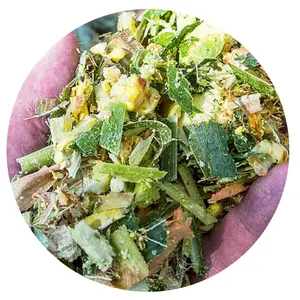 ¡OFERTA! SILAJE DE MAÍZ - Alto Estándar de Exportación con el Mejor Precio de VIETNAM 2024 - Product Image 1