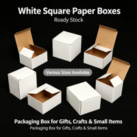 Boîte en carton ondulé blanc 3 plis, en stock, petite boîte blanche polyvalente pour l'emballage de verres et de quincaillerie
