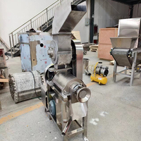 Commerciële Sinaasappelsap Makende Machine Citroensap Extraheren Machine Om Fruitsap Automatisch Te Maken