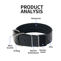 Colliers Pitbull de 2 pouces de large fabriqués en usine pour la formation de chiens sur mesure collier étanche en TPU pour chiens de taille moyenne et grande