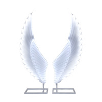 Décorations de scène pour mariage, ailes d'ange, fond de scène, éclairage de scène, double éclairage de guidage routier
