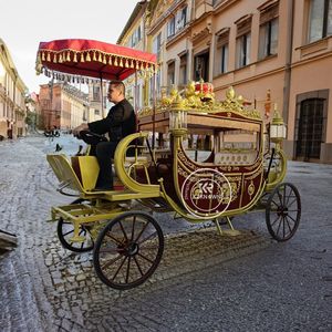 Calèche royale électrique de luxe avec structure en acier pour mariages, visites touristiques et cadeaux - Product Image 2