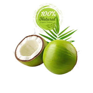 Noix de coco fraîches écologiques-Choix durable pour l'exportation - Product Image 1