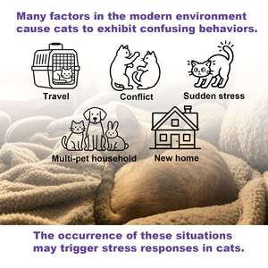 OEM Factory Direct |Cat Calming Pheromone <b>Diffuser</b> Set | 60 Days Use | Reduce Anxiety & Aggression | EU <b>Plug</b> <b>In</b> - Product Image 2