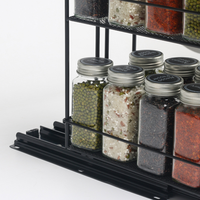 Étagère à épices coulissante à 2 niveaux en acier au carbone, design robuste et étanche, organisateur de placard multifonctionnel pour assaisonnements