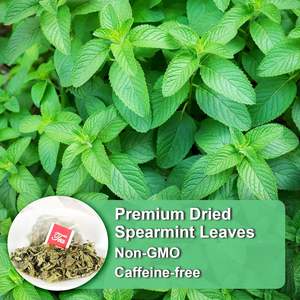 100% Natural Custom Bagged Green Peppermint and <strong>Spearmint</strong> Leaf Teabags Fresh Herbal Mint Loose Leaf for Slimming <strong>Tea</strong> - Product Image 6