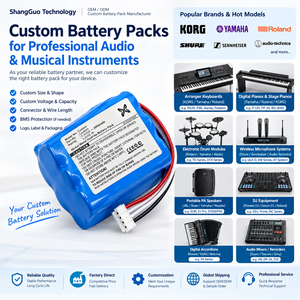 แบตเตอรี่แบบชาร์จได้สำหรับ<span class=keywords><strong>คีย์บอร์ด</strong></span> KORG Yamaha Arranger เครื่องดนตรีระดับมืออาชีพ - Product Image 2